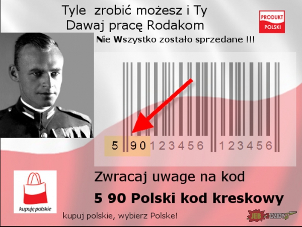 Wybierz Polske