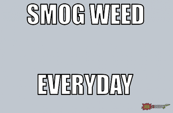 Smog Weed Everyday