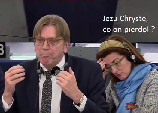 Guy Verhofstadt - przesłuchanie Szydło