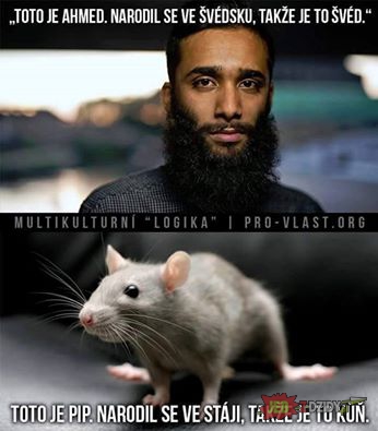 TOTO JE AHMED