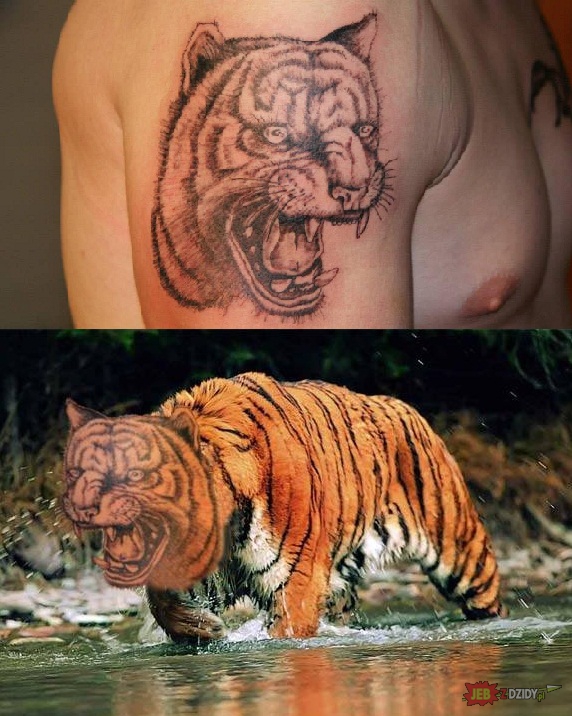 Tygryseł