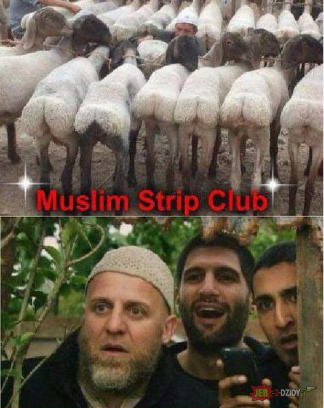 Muslimski stripclub xD