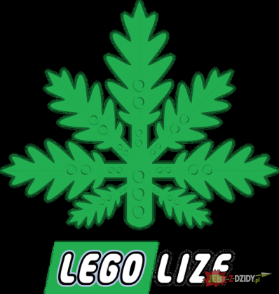Legolize