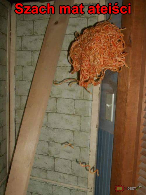 Potwór Spaghetti istnieje