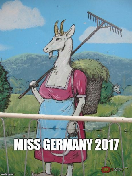 Miss Niemiec