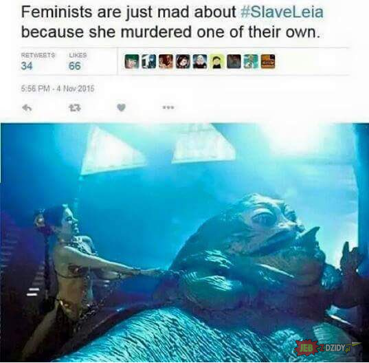 Feministki 