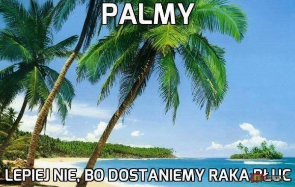 palmy