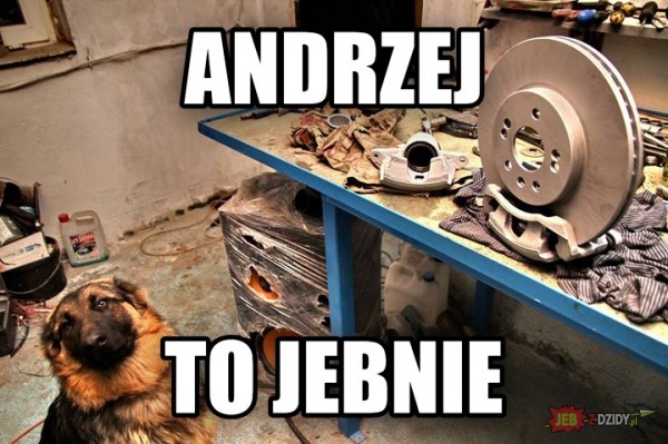 Andrzej 