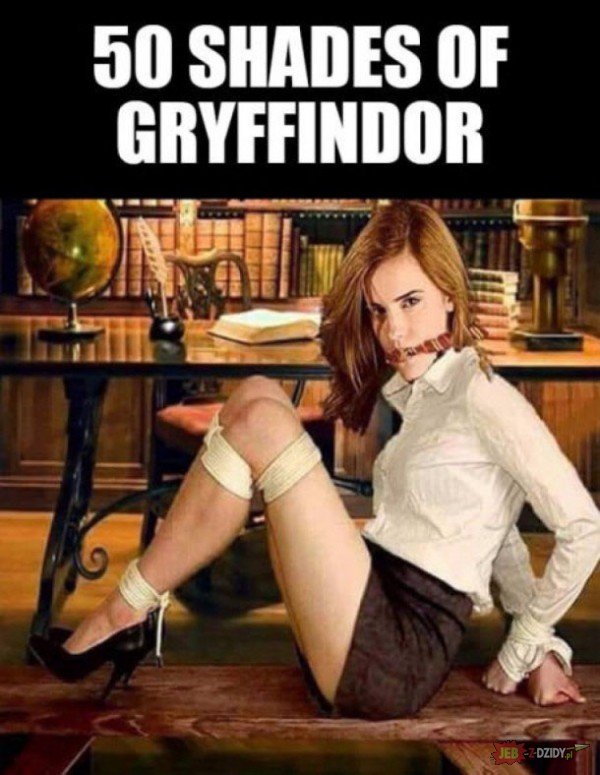 50 Shades of Gryffindor