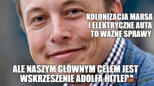 Elon plz