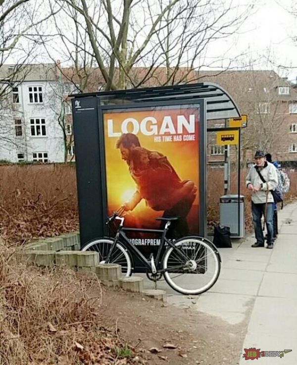 Logan popi**dala na rowerze