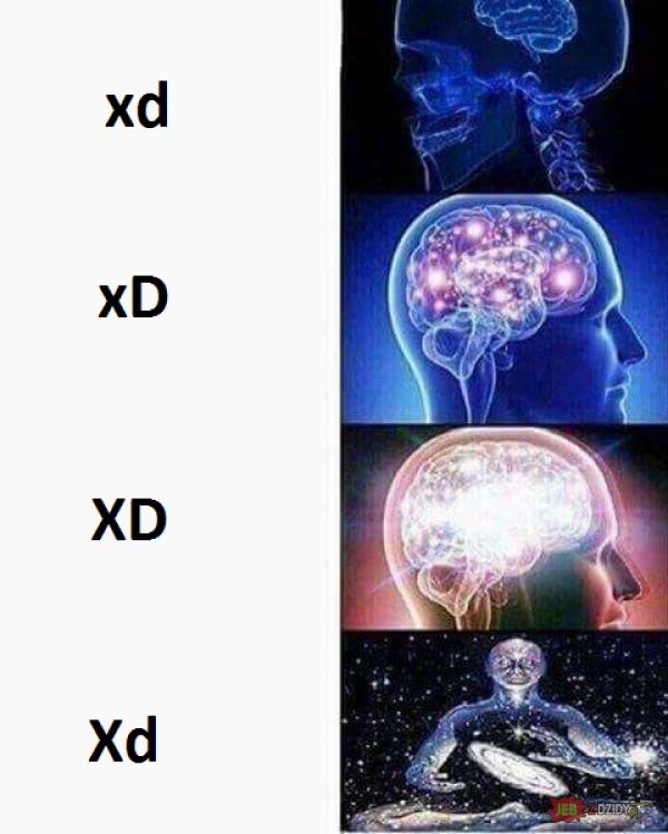 XdXd