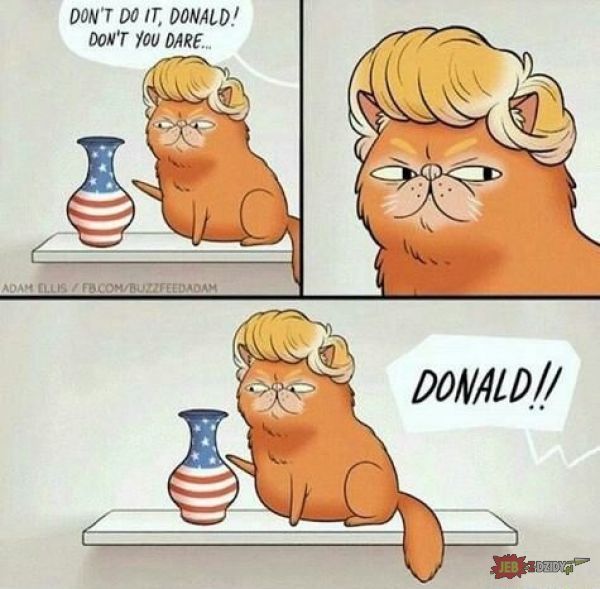 Donald xD