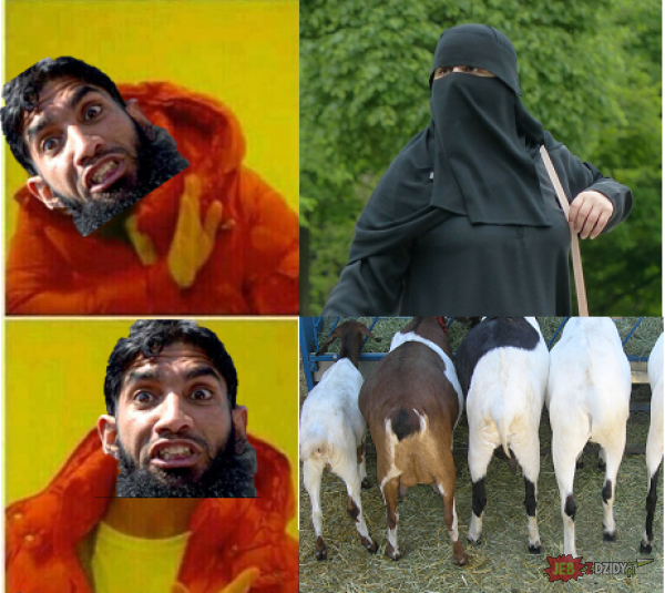 Muslimy