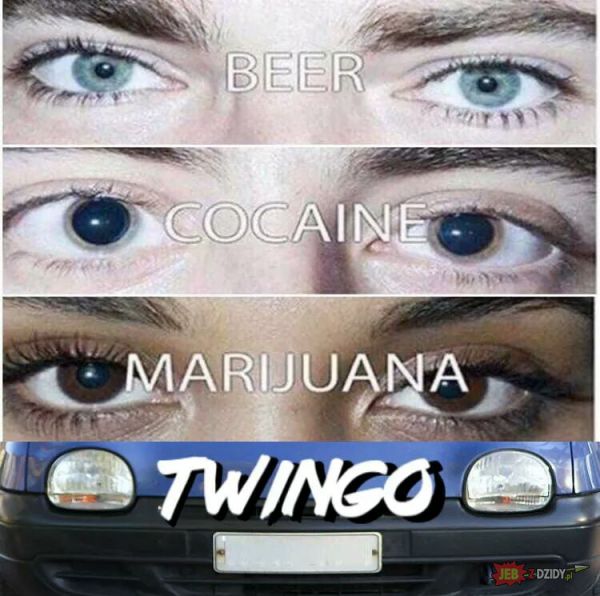 Twingo eyes 