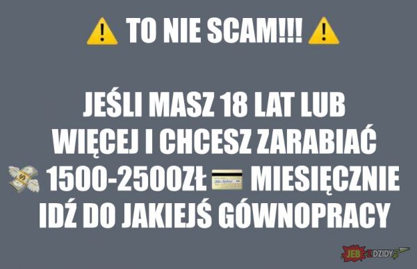 TO NIE SCAM