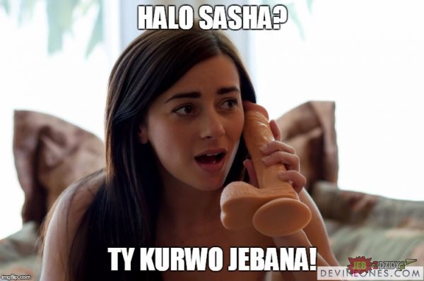 Halo Sasha?