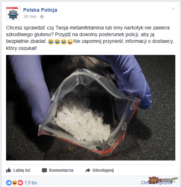 Polska policja