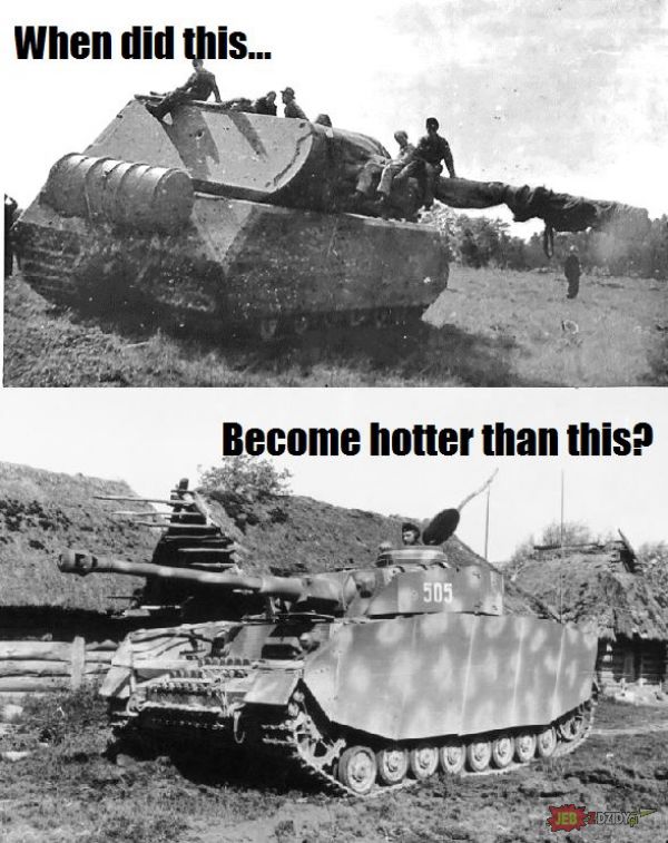 Stop nierealnym standardom! Wszystkie czołgi są piękne!