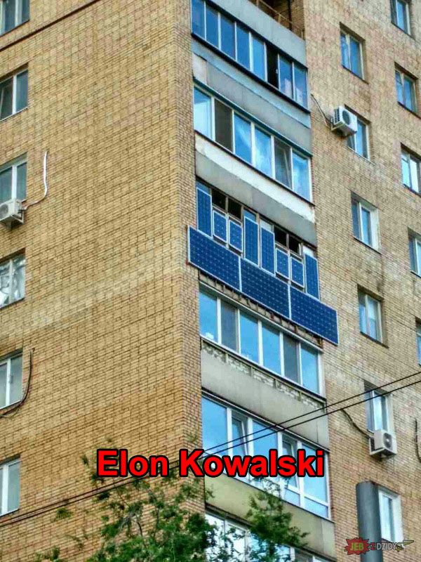 Elon Kowalski