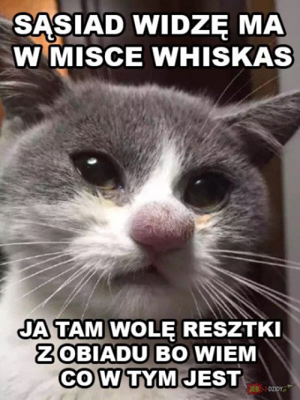 Polski kot
