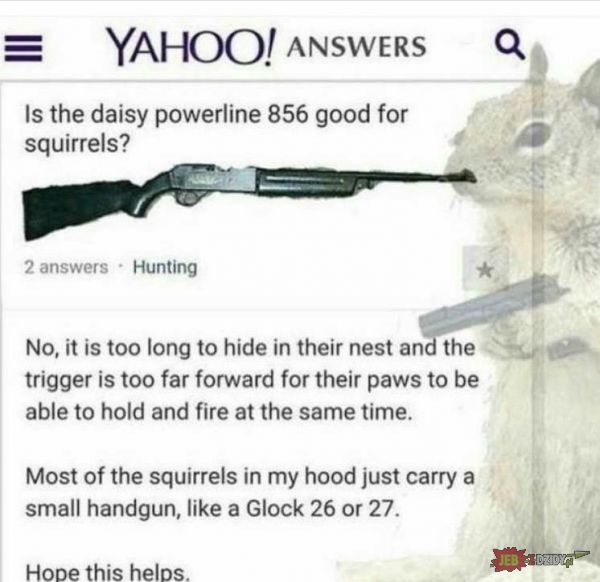 Jaka jest najlepsza broń dla wiewiórek