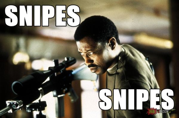 Snipes snipes (snipes)