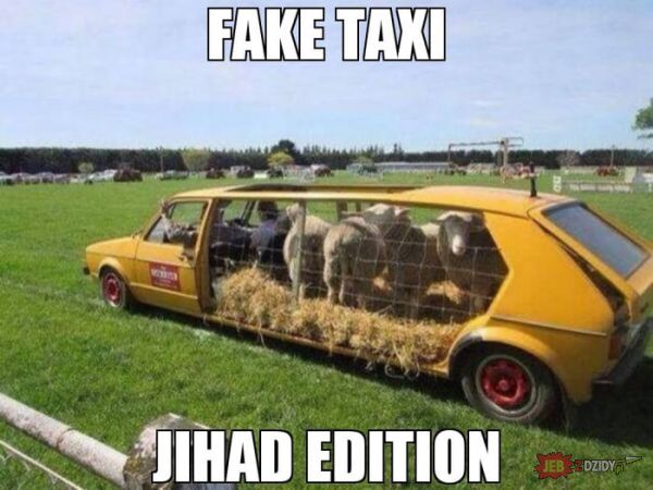 Muslimowe fake taxi