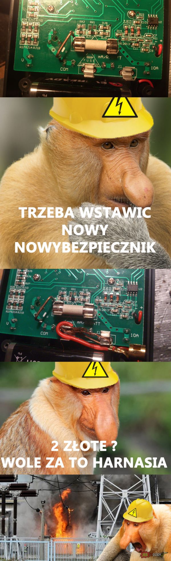 Janusz elektryk