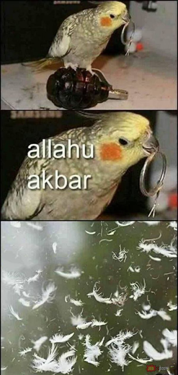 Allahu Akbar