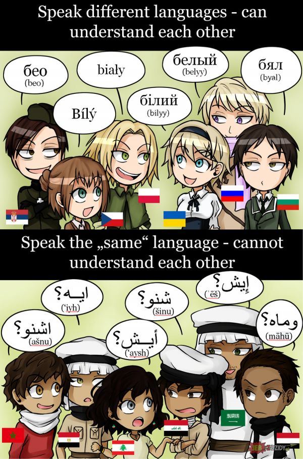 Słowianin a Arab