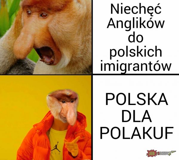 Polska dla Polakuf