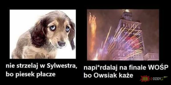Owsiak