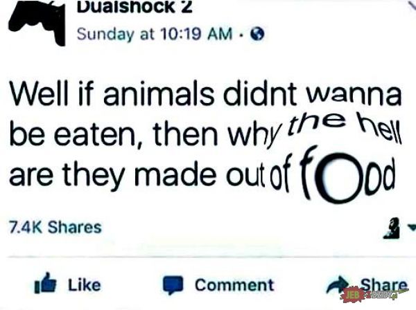 Głupie zwierzęta 