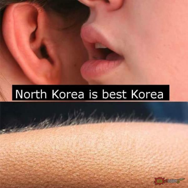 Najlepsza Korea