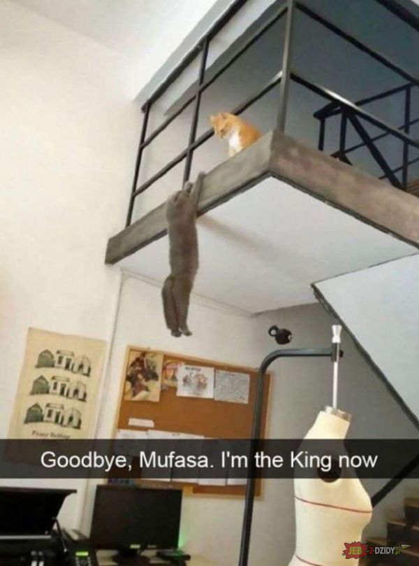 Żegnaj, Mufasa. Teraz ja jestem królem