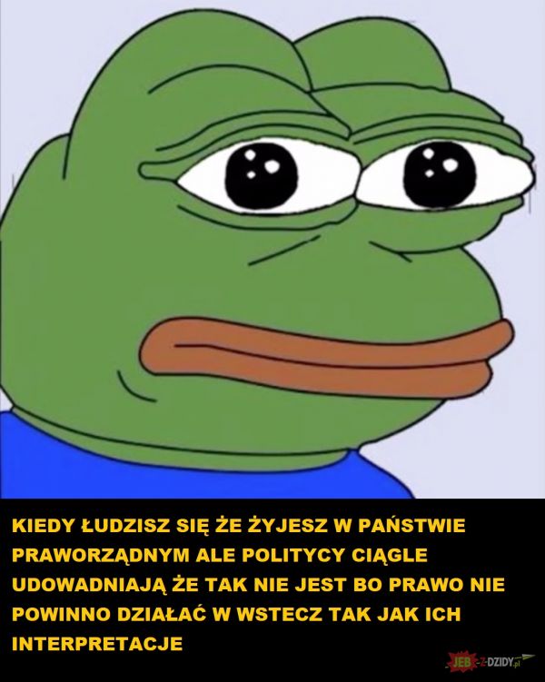 PiS - Prezes i Spółka