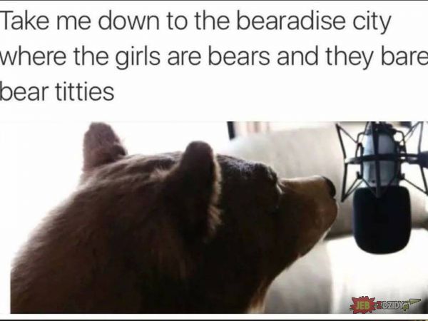 Bears and Roses