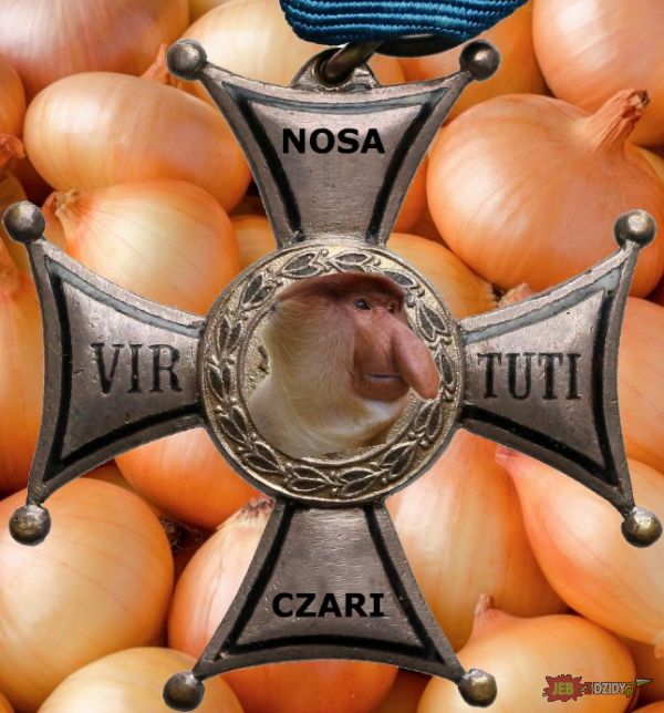 Virtuti Nosaczari