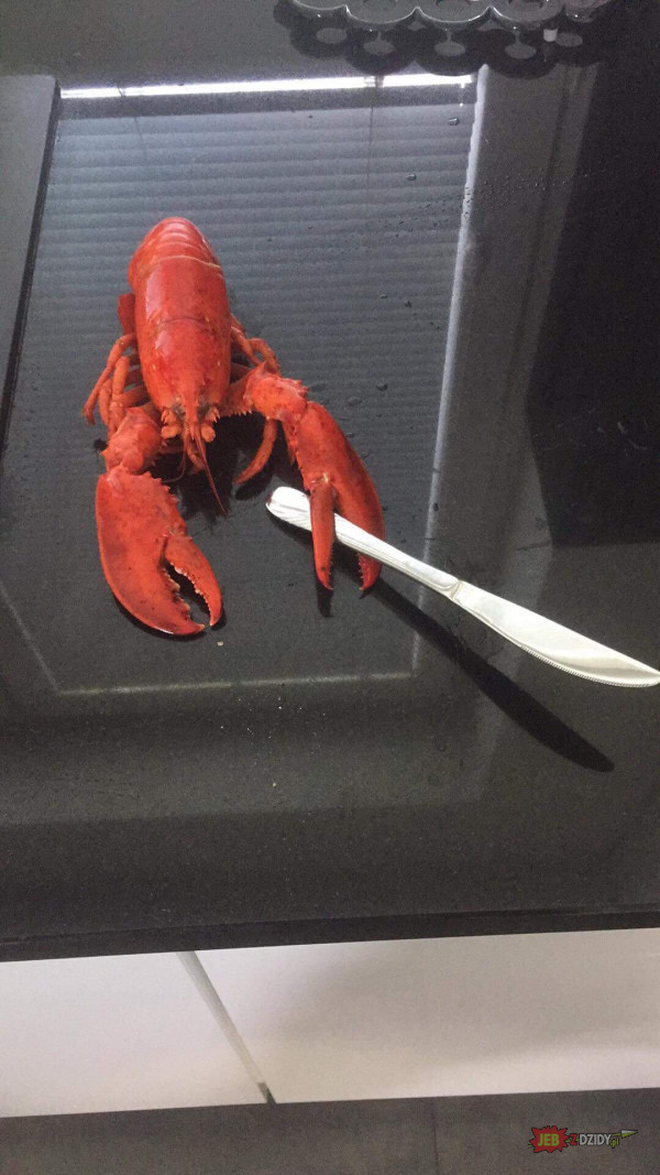 killer lobster