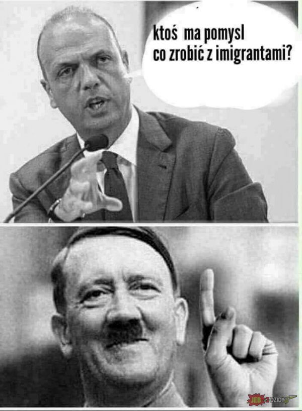 Wójek Adolf wie co robić