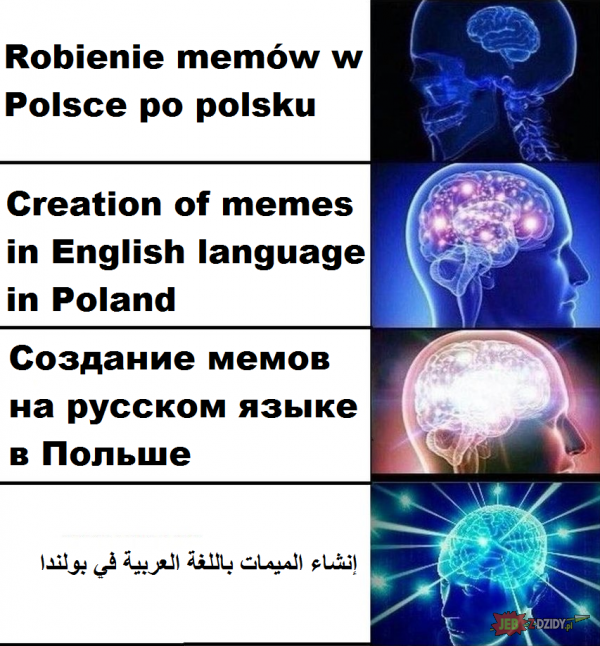 Robienie memów w Polsce 