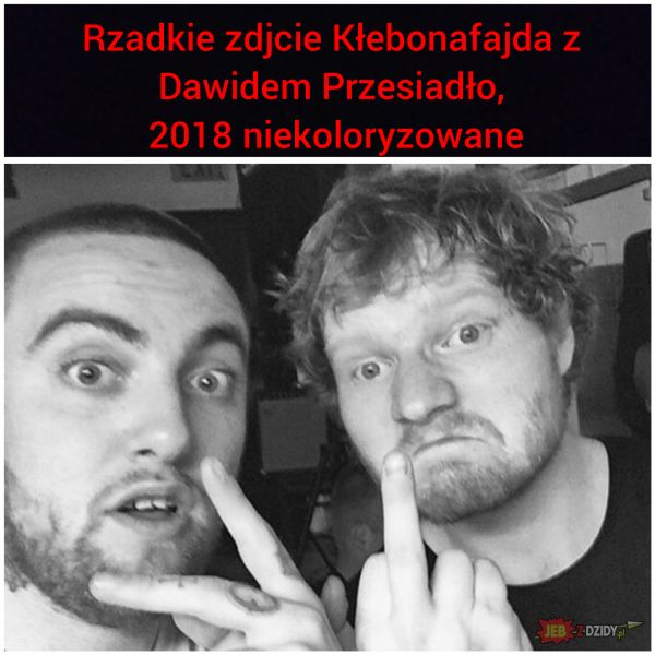 Polscy celebryci