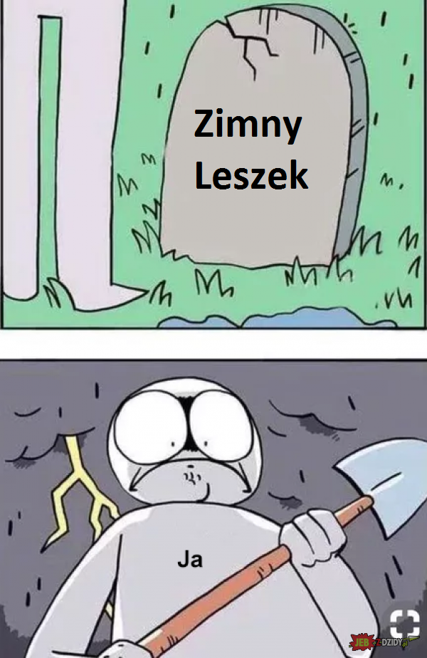 Zimny Leszek