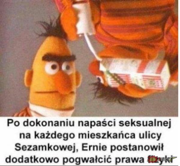 Typowy Ernie