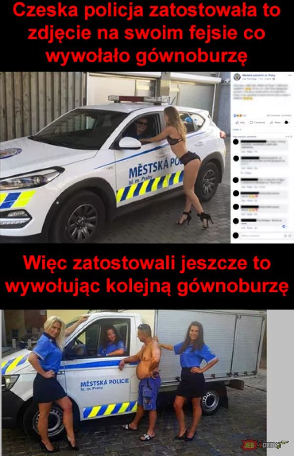 Czeska policja