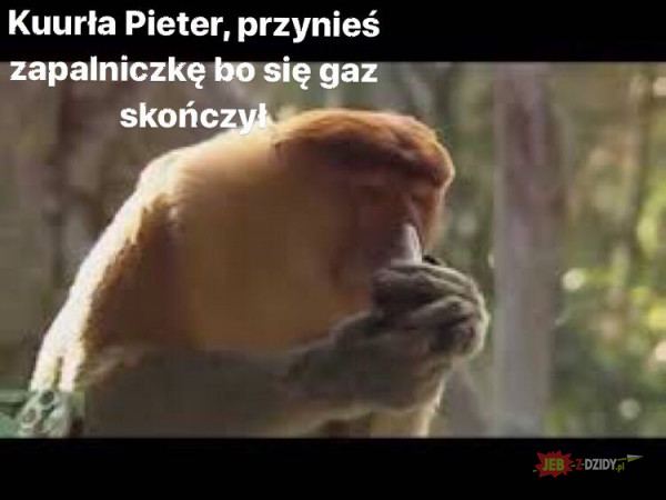 Pieter 