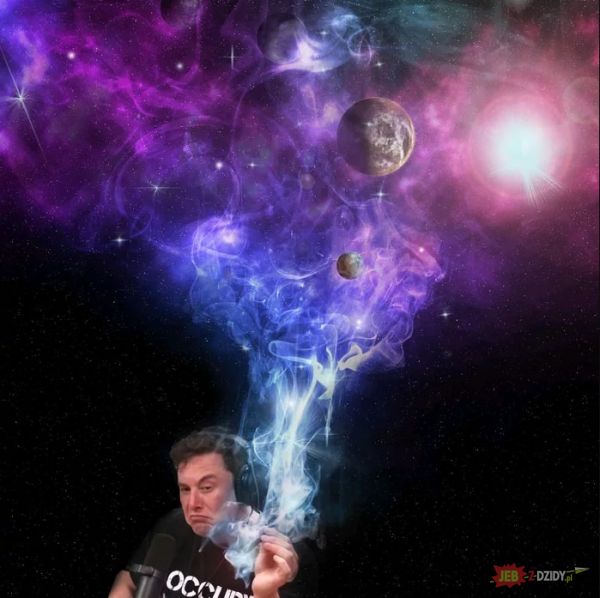 Elon Musk maaaan