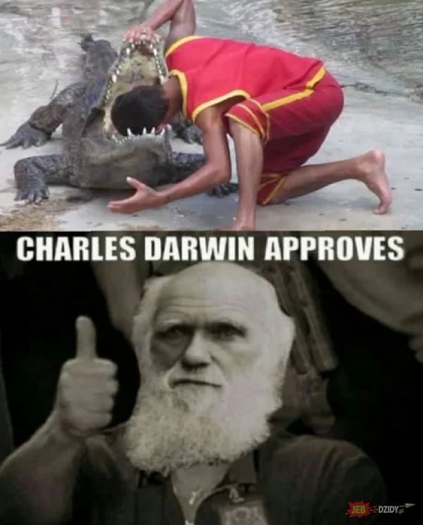Darwin lubi to 