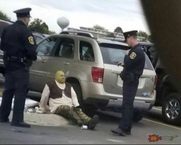 Shrek oszalał